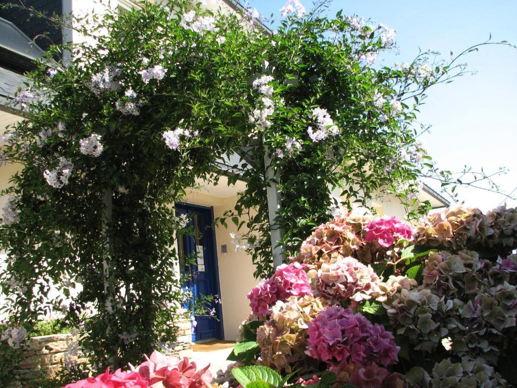 Bed and Breakfast L'Escale Evel Er Ger Locquirec Esterno foto